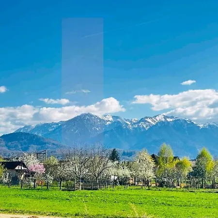 Das Home * Risnov